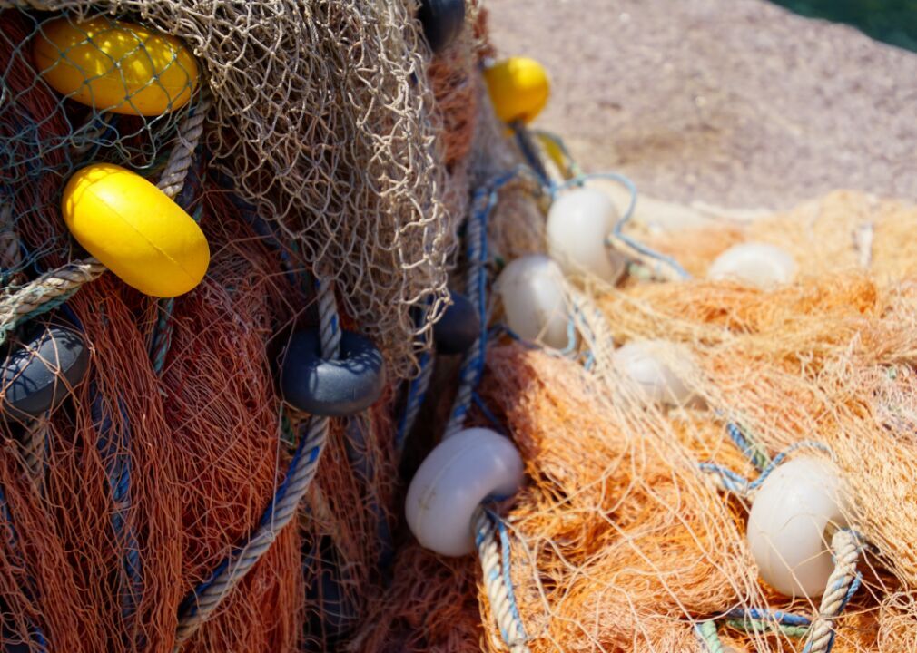 Nylon fishing nets: 40 years